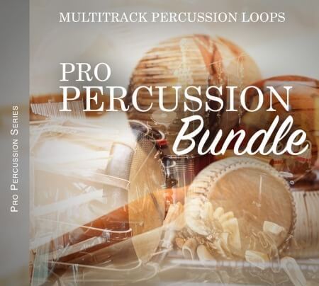 Steinberg Pro Percussion Bundle DAW Addons